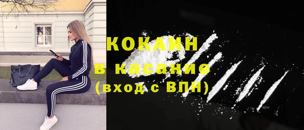 бошки Бородино