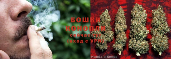 бошки Бородино