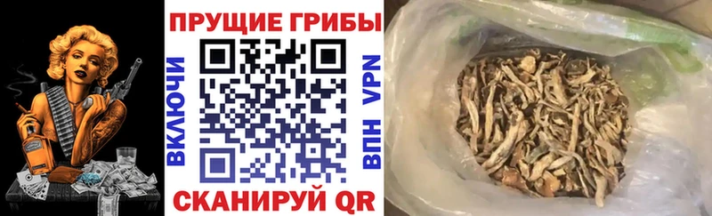 Галлюциногенные грибы Magic Shrooms  Афипский 